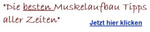 effektiver Muskelaufbau